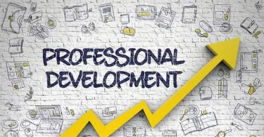 Professional Skill Development